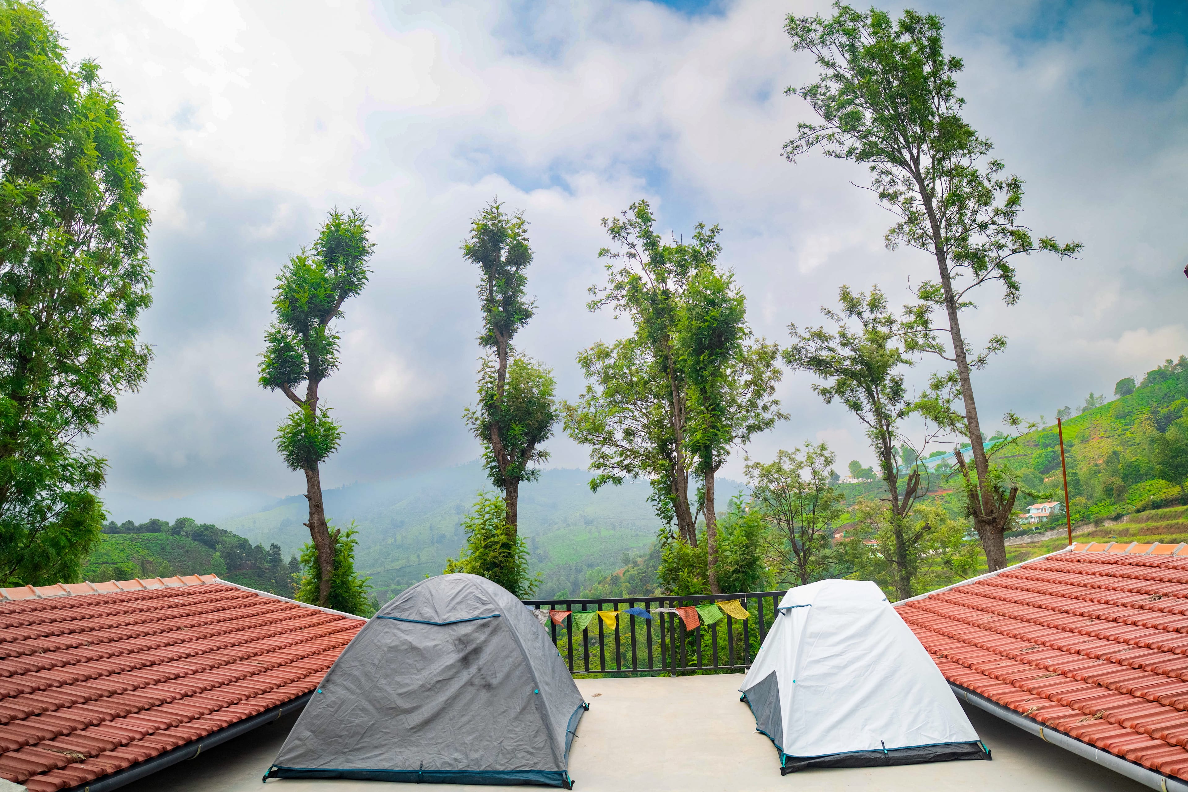 Camping setup amidst the lush tea estate under a clear sky