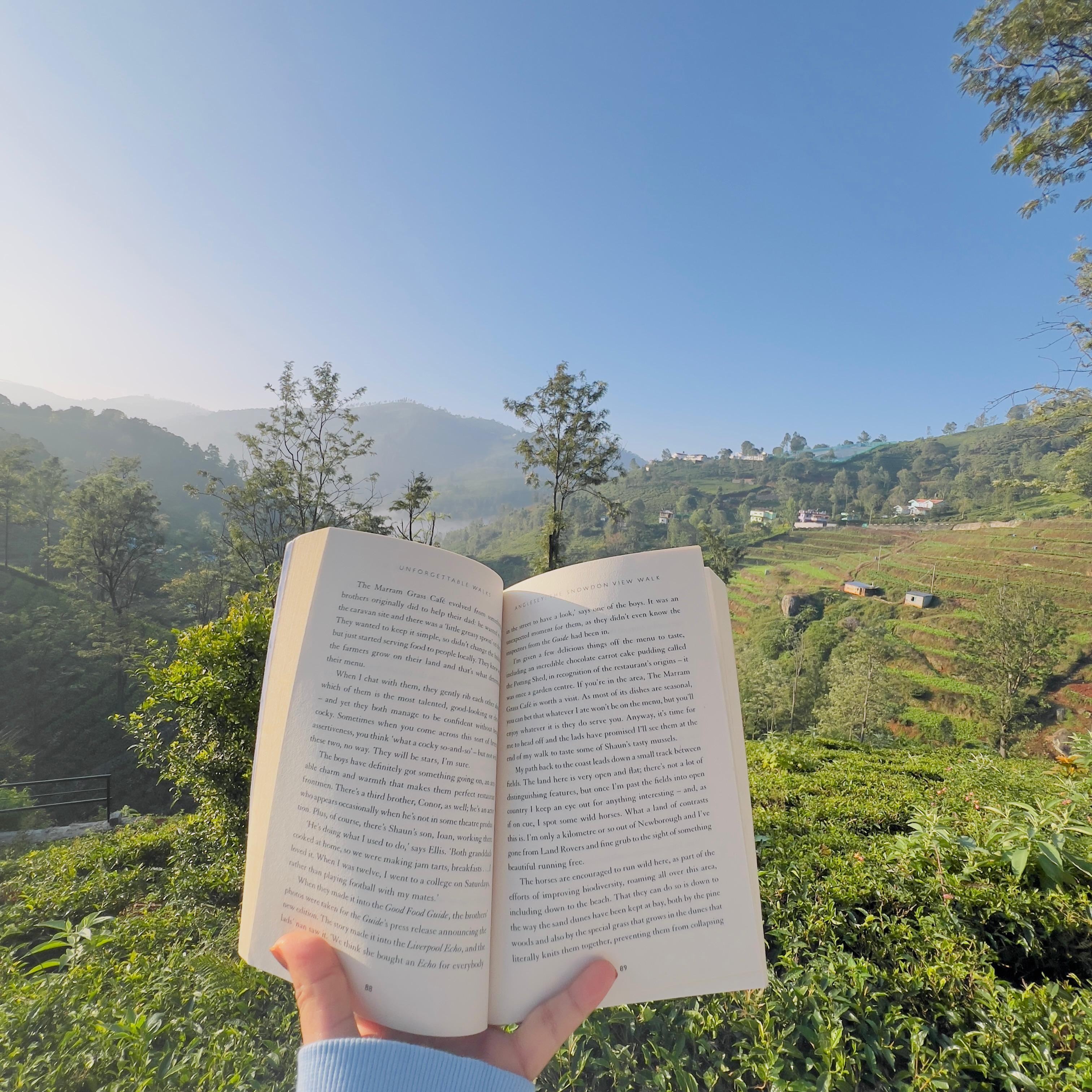 A serene view of the misty hills inducing a peaceful trance