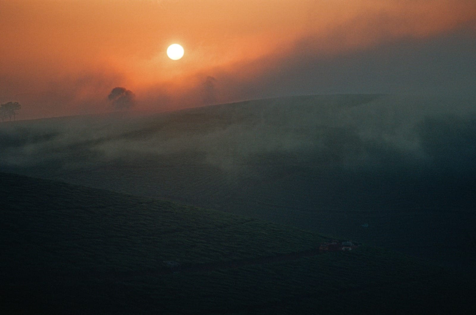 Golden sunrise over the Nilgiris valley with mist rolling through the hills
