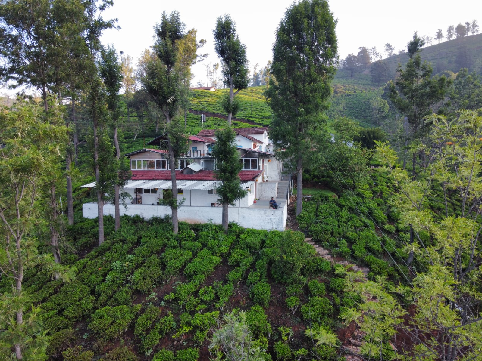 Aerial view of the Mad & Nomad heritage bungalow nestled in Nilgiris tea plantations